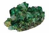 Fluorite Crystal Cluster - Rogerley Mine #143052-2
